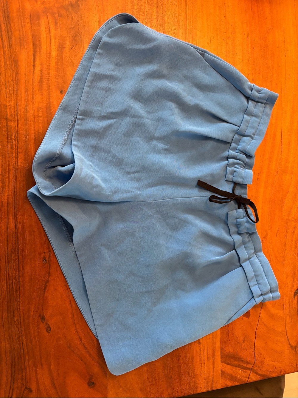 rag & bone Light Blue soft Drawstring Shorts medium made in the USA